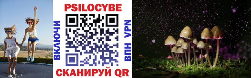 Псилоцибиновые грибы Cubensis  Западная Двина 